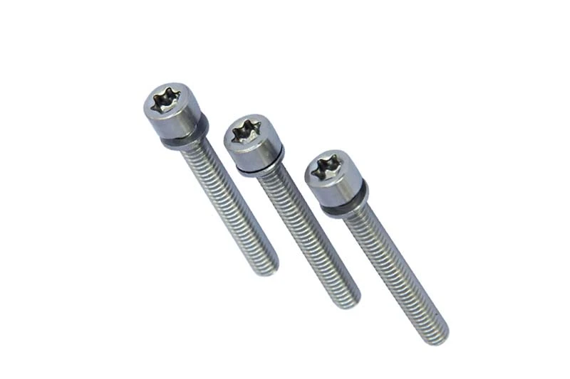 Security screw (6)